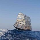 Sedov auf der Welle