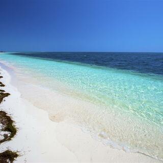 Strand auf Cayo Largo