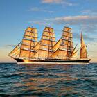 Sedov in der Sonne