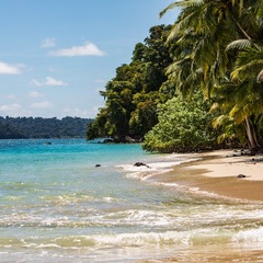 Segeln Panama: Strand im Coiba Nationalpark
