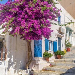 Syros