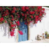 Katamaran-Reise Griechenland 14.06.2025 bis 21.06.2025-DK