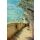 Katamaran-Reise Sardinien Costa Smeralda 16.05.2026 bis 23.05.2026