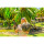 Segelreise Seychellen Premium Katamaran-10 03.04.2026 bis 13.04.2026-DK