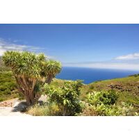 Sea Cloud Spirit Kanarische Inseln 18.04.2026 - 27.04.2026-10T 3612* ab/an Gran Canaria-GD