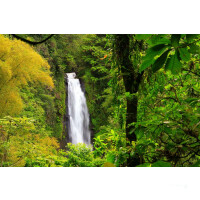 Premium Catamaran Cruise Guadeloupe -