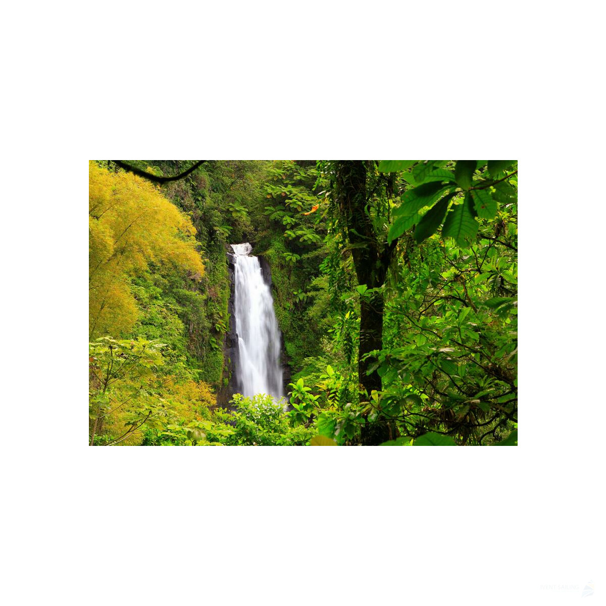 Premium Catamaran Cruise Guadeloupe -