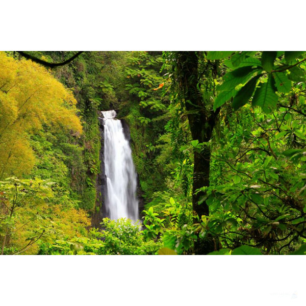 Premium Catamaran Cruise Guadeloupe -