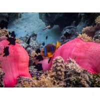 Katamaran-Reise Bora Bora über Huahine 7
