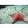 Katamaran-Reise Tahiti, Huahine, Raiatea 11 09.07.2025 bis 19.07.2025 RT*-DK