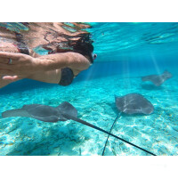 Katamaran-Reise Tuamotu ab Rangiroa 5 15.07.2025 bis 19.07.2025-DK
