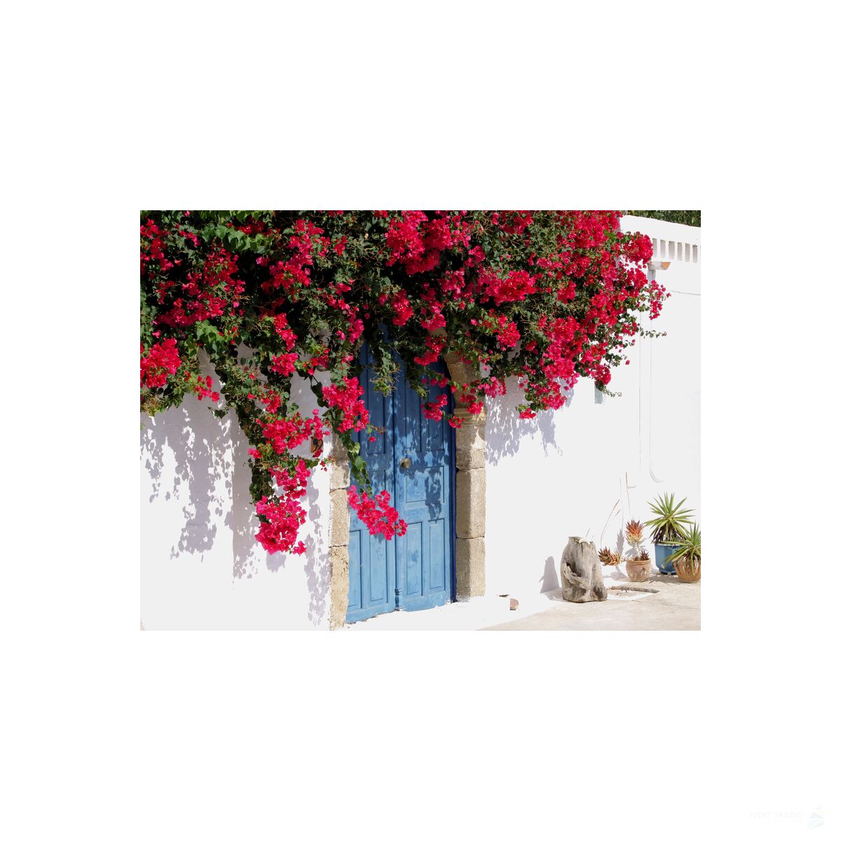 Premium Catamaran Cruise in Corsica -