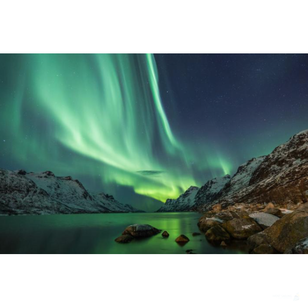 Segel-Safari Norwegen Wale und Polarlichter 08.10.2026 bis 15.10.2026-8T ab/an Tromsö Komfort