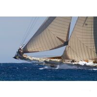 Les Voiles de Saint Tropez mitsegeln