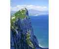 Whale Watching in the Strait of Gibraltar