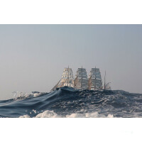 Sedov auf Nordsee und Ostsee segeln