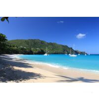 Premium Catamaran Cruis in the Grenadines