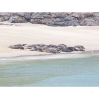 Segelreise Schottland mit Whiskey-Tour
