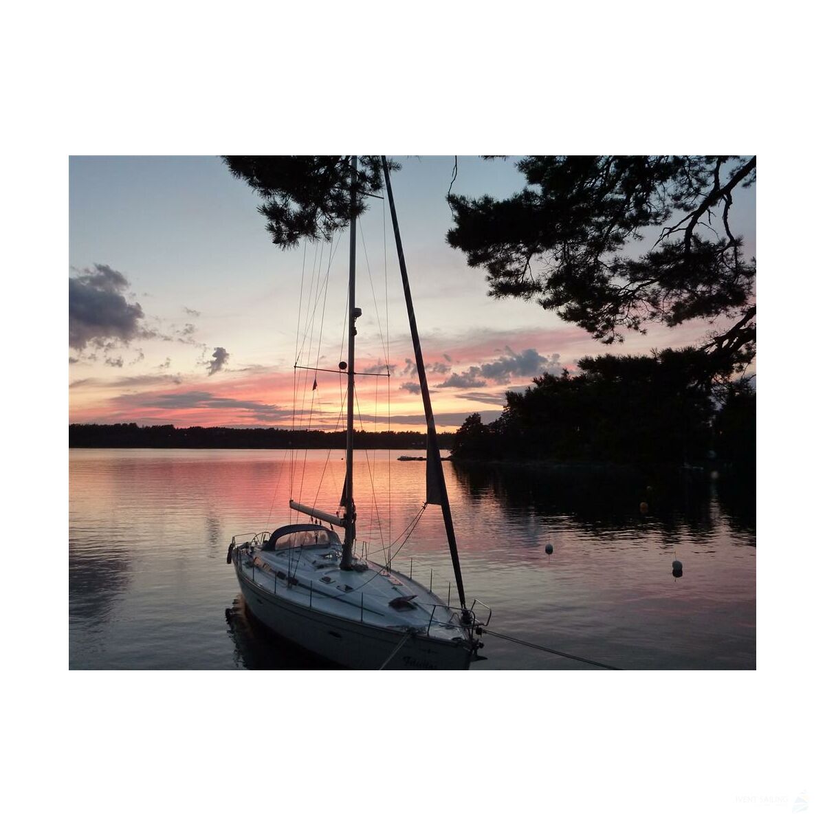 Special Sailing Cruises