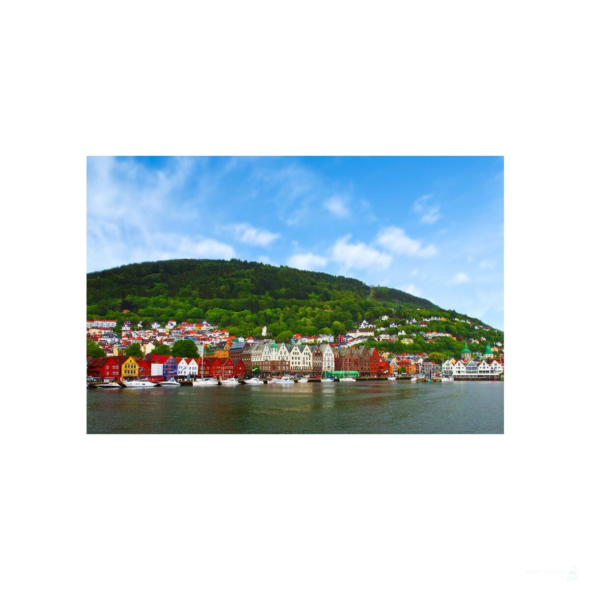 Mitsegeln Shettland-Inseln