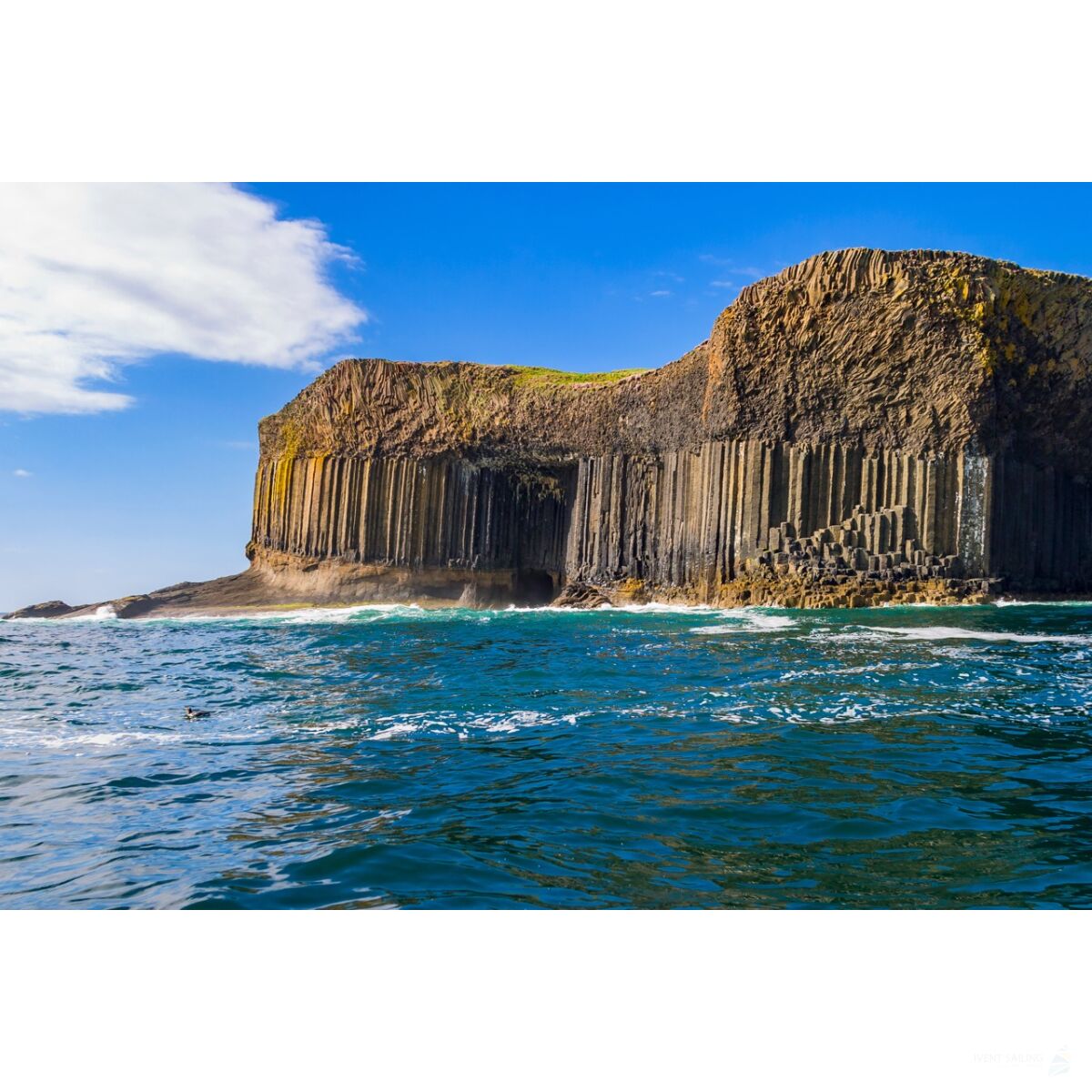 Sailing Safari Scottland