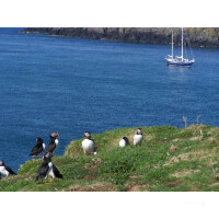 Segelsafari Schottland