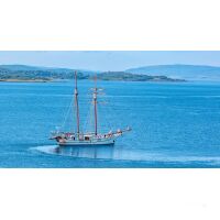 Sailing Safari Scottland