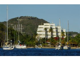 Winsward Islands - Sailing Cruise Carribean at Royal Clipper (7 Days)