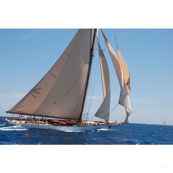 Mitsegeln Antigua Classic-Yacht-Regatta