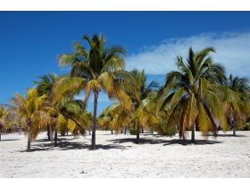 Katamaran-Segelreise Kuba mit Canarreios Inseln