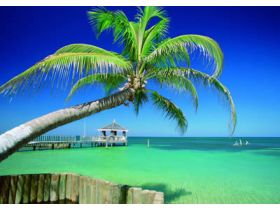Karibik mit der Sea Dream