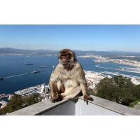Mit der Sea Cloud Spirit durch die Strasse von Gibraltar in den Atlantik