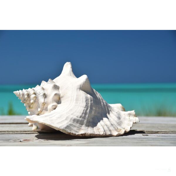 Katamaran-Reise Bahamas Abacos