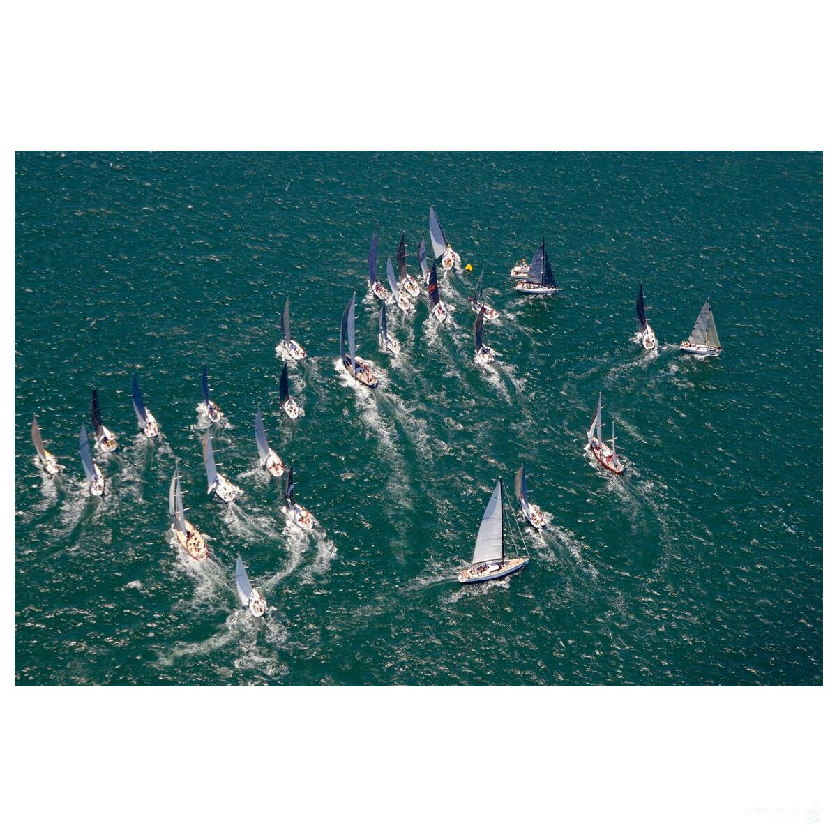 Mit Rennyacht zum Ocean Race nach Aarhus