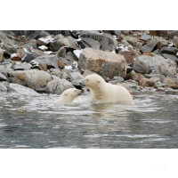 Entdeckungsreise Spitzbergen