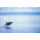 Sailing Safari Svalbard -