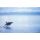 Segelreise in die Arktis - Norwegen im Winter Standard-12.11.2025 - 20.11.2025-9T ab/an Tromsö