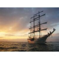 Großseglertörn Ostsee Standard-12.05.2025 bis 18.05.2025-7T ab/an Kiel