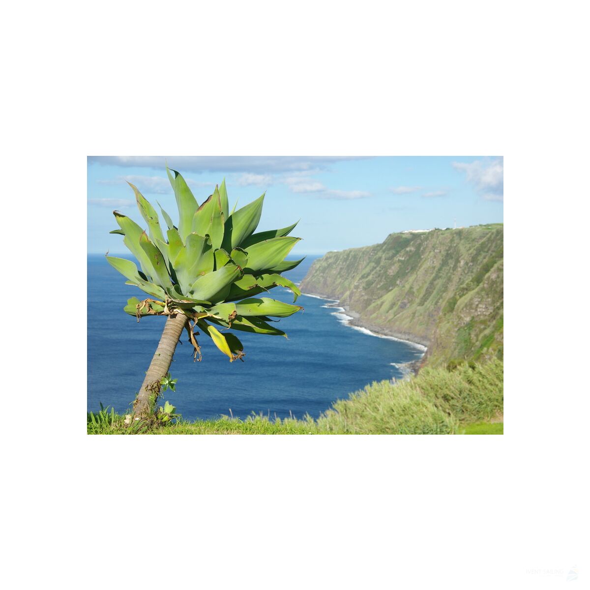 Segelreise Azoren 20.05.2026 - 27.05.2026-8T AZ1* ab/an Horta, Faial-B