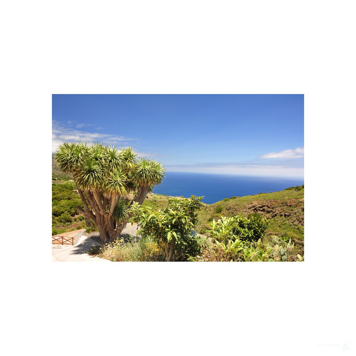 Yachtreise Kanaren 22.11.2025 - 29.11.2025-8T KN1* ab/an Santa Cruz, Teneriffa-L
