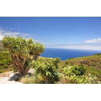 Yachtreise Kanaren 22.11.2025 - 29.11.2025-8T KN1* ab/an...