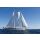 Segelreise British Virgin Islands 18.02.2026 - 24.02.2026-7T VI1* ab/an Tortola, Trellis Bay-B