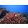 Segelreise British Virgin Islands 18.02.2026 - 24.02.2026-7T VI1* ab/an Tortola, Trellis Bay-B