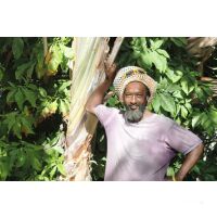 Segelreise Französische Antillen 07.03.2026 - 14.03.2026-8T A2* ab/an Martinique-L