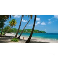 Segelreise Französische Antillen 07.03.2026 - 14.03.2026-8T A2* ab/an Martinique-L