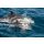 Sailing Cruise Grenadines on Chronos -