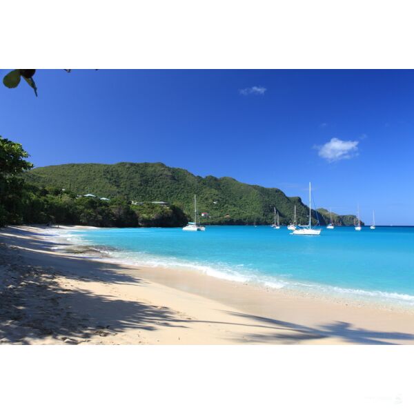 Segelreise Grenadinen 21.12.2025 - 28.12.2025-8T G1* Grenada - St. Lucia-D