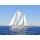 Segelreise Grenadinen 21.12.2025 - 28.12.2025-8T G1* Grenada - St. Lucia-D