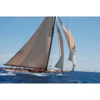 Joining Les Voiles de Saint Tropez -