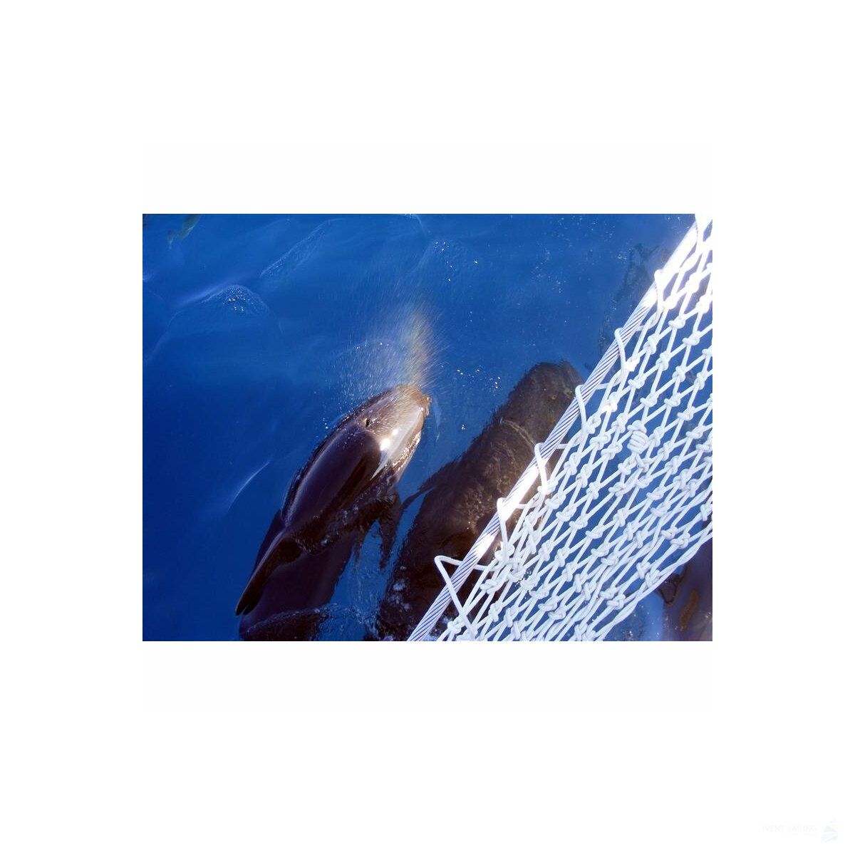 Segel-Reise Algarve und Andalusien 01.11.2025 - 08.11.2025-8T SP1* Denia - La Linea-L